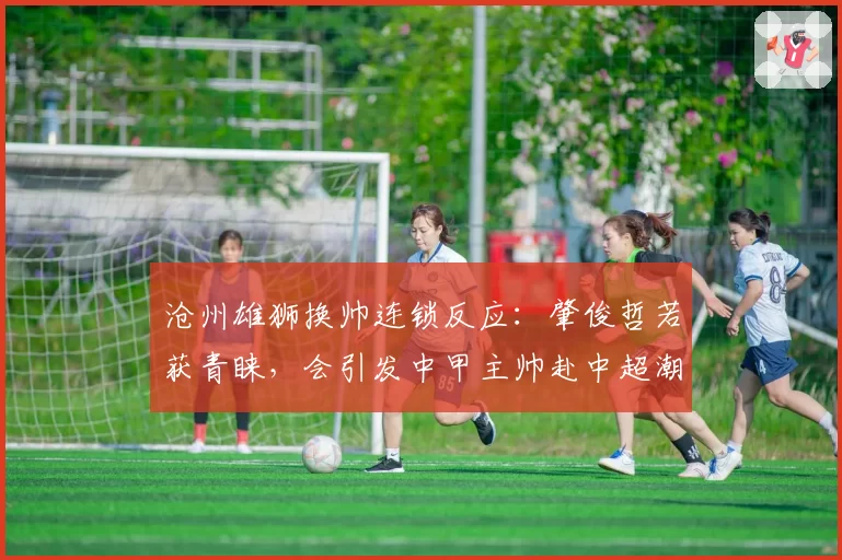 沧州雄狮换帅连锁反应：肇俊哲若获青睐，会引发中甲主帅赴中超潮吗？