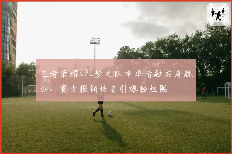 王者荣耀KPL梦之队中单清融右肩脱臼，赛季报销传言引爆粉丝圈